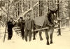 Im Wald um 1953 Walter Kaiser und Heinrich Eyring (03)
